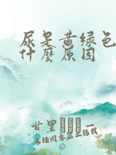 尿是黄绿色的是什么原因