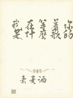 我在等着你回来是什么歌的歌词