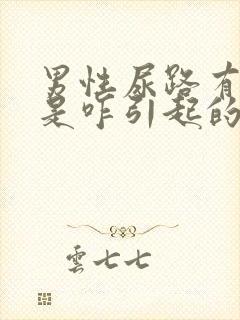 男性尿路有感染是咋引起的