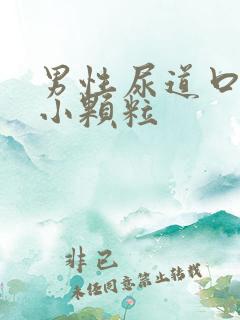 男性尿道口上有小颗粒