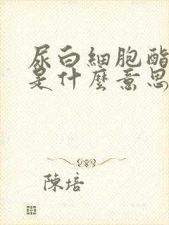 尿白细胞酯阳性是什么意思