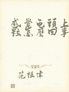 感觉龟头上有颗粒怎么回事