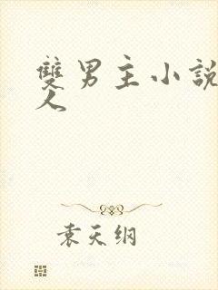 双男主小说双性人