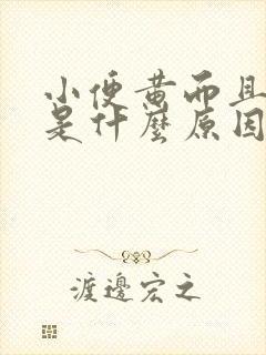 小便黄而且浑浊是什么原因引起的