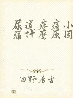 尿道疼痛小便刺痛什么原因