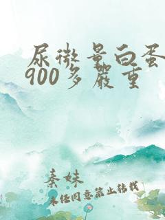 尿微量白蛋白3900多严重