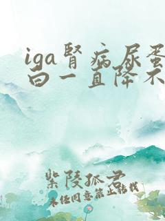 iga肾病尿蛋白一直降不下来怎么办