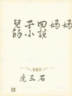 儿子回妈妈老家的小说