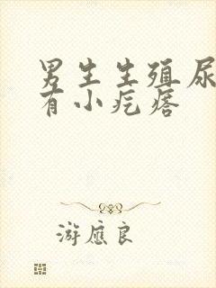 男生生殖尿道上有小疙瘩