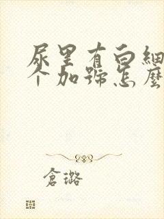 尿里有白细胞3个加号怎么回事