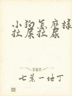 小狗怎么样训练拉屎拉尿