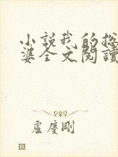 小说我的总裁老婆全文阅读