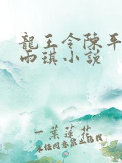 龙王令陈平,苏雨琪小说
