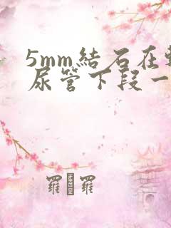 5mm结石在输尿管下段一般多久能排出