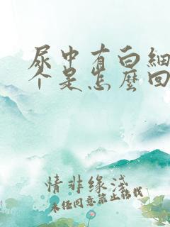 尿中有白细胞2个是怎么回事