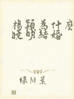 杨颖为什么和黄晓明结婚