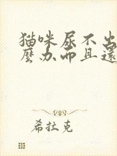 猫咪尿不出尿怎么办而且还有血