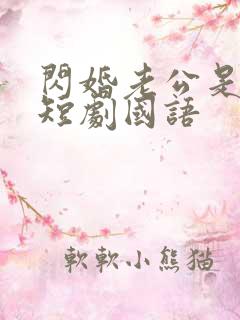 闪婚老公是豪门短剧国语