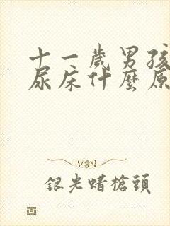 十一岁男孩夜里尿床什么原因