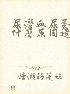 尿潜血尿蛋白是什么原因造成的