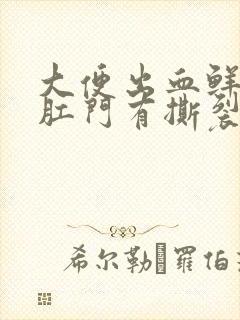 大便出血鲜红色肛门有撕裂感