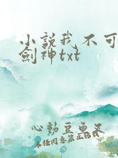 小说我不可能是剑神txt