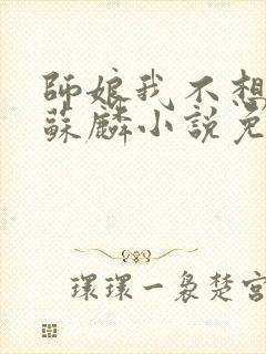 师娘我不想下山苏麟小说免费阅读