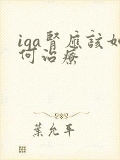 iga肾应该如何治疗