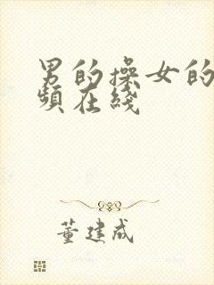 男的操女的的视频在线