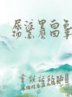 尿液里白色絮状物怎么回事