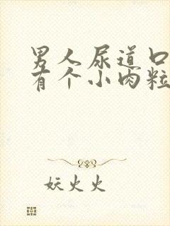 男人尿道口边上有个小肉粒