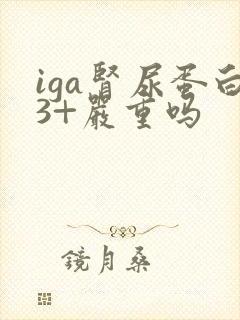 iga肾尿蛋白3+严重吗