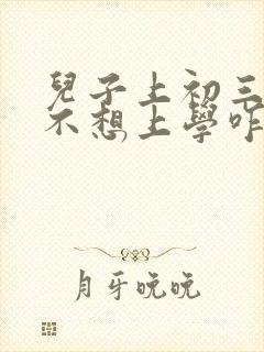 儿子上初三了,不想上学咋办