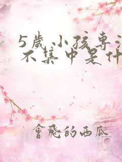 5岁小孩专注力不集中是什么原因