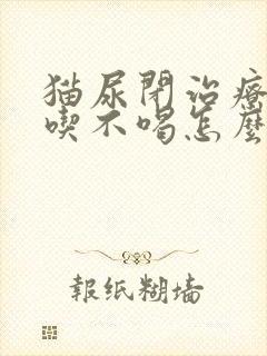 猫尿闭治疗后不吃不喝怎么办