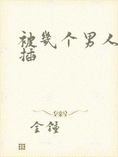 被几个男人一起插