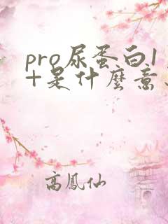 pro尿蛋白1+是什么意思