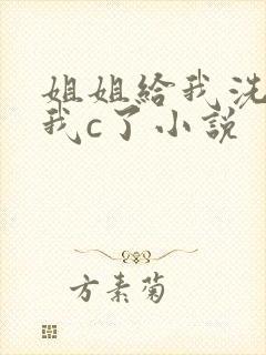 姐姐给我洗澡把我c了小说