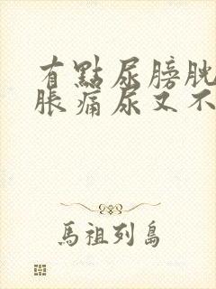 有点尿膀胱就有胀痛尿又不多且没劲