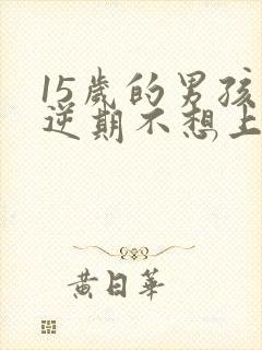 15岁的男孩叛逆期不想上学