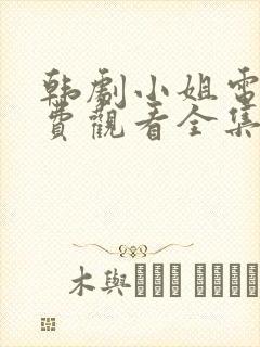 韩剧小姐电影免费观看全集高清