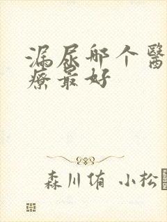 漏尿哪个医院治疗最好