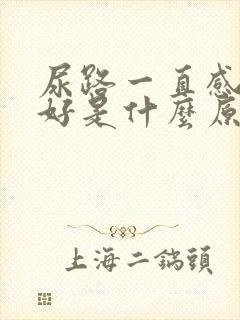 尿路一直感染不好是什么原因?