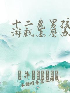 十二岁男孩沉迷游戏怎么办