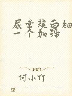 尿常规白细胞有一个加号