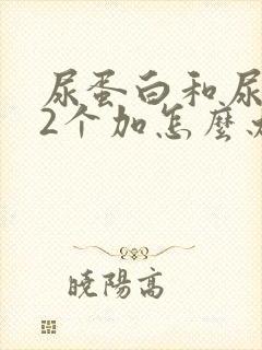 尿蛋白和尿隐血2个加怎么办