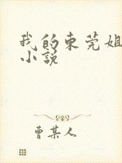 我的东莞姐姐 小说