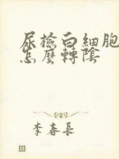 尿检白细胞阳性怎么转阴