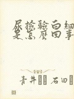 尿检验白细胞高是怎么回事