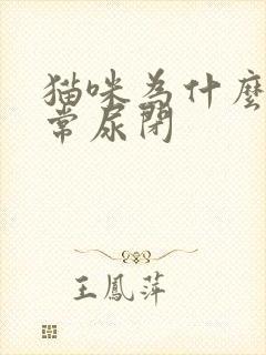 猫咪为什么会经常尿闭